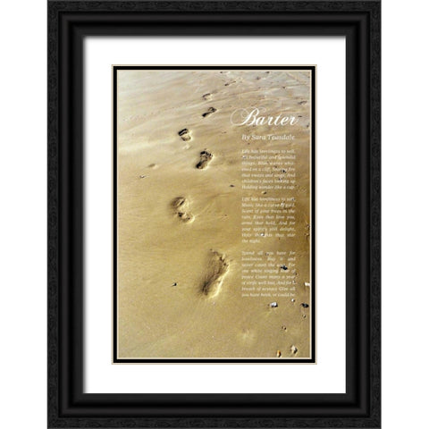 Beautiful and Splendid Black Ornate Wood Framed Art Print with Double Matting by Peck, Gail