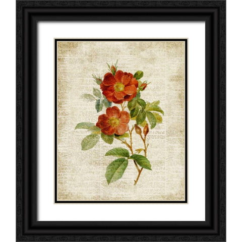 Roses on Newsprint II Black Ornate Wood Framed Art Print with Double Matting by Loreth, Lanie