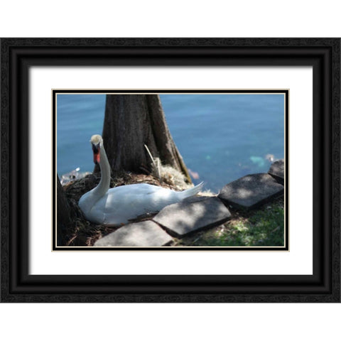 Blue Sky Beach I Black Ornate Wood Framed Art Print with Double Matting by Rodriguez, Jairo