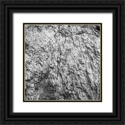 Rock Wall I Black Ornate Wood Framed Art Print with Double Matting by Rodriguez, Jairo