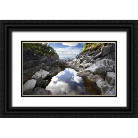 Reflecting Ravine Black Ornate Wood Framed Art Print with Double Matting by Nawrocke, Bruce