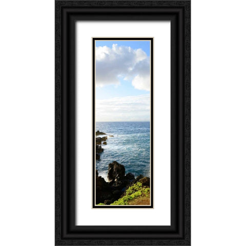 Overlooking the Bluffs I Black Ornate Wood Framed Art Print with Double Matting by Nawrocke, Bruce