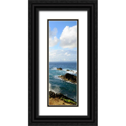 Overlooking the Bluffs II Black Ornate Wood Framed Art Print with Double Matting by Nawrocke, Bruce