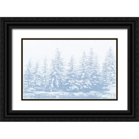 Winter Forest Black Ornate Wood Framed Art Print with Double Matting by Mansfield, Kathy