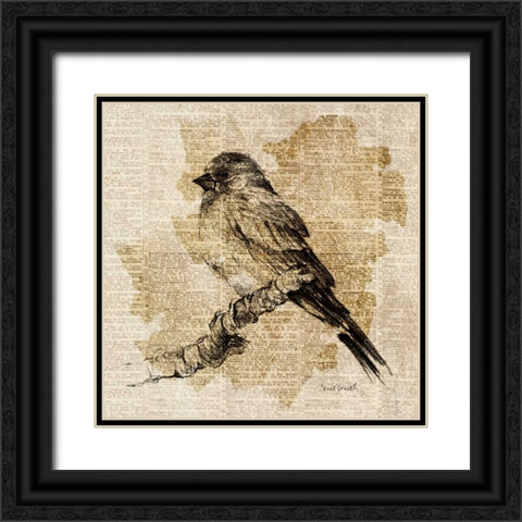 Bird Study I Black Ornate Wood Framed Art Print with Double Matting by Loreth, Lanie