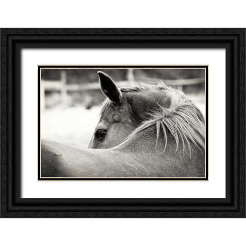 Over His Shoulder Black Ornate Wood Framed Art Print with Double Matting by Peck, Gail