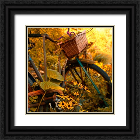 Garden Bike Black Ornate Wood Framed Art Print with Double Matting by Nawrocke, Bruce
