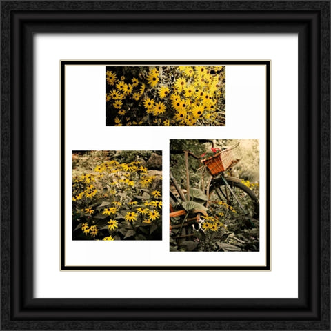 Gerber Daisy Garden Set Black Ornate Wood Framed Art Print with Double Matting by Nawrocke, Bruce