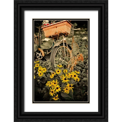 In the Fields II Black Ornate Wood Framed Art Print with Double Matting by Nawrocke, Bruce