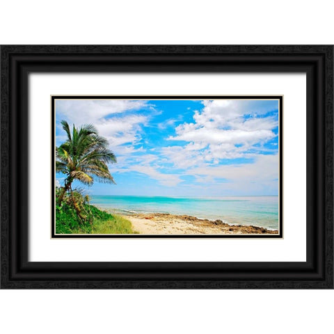 Paradise Black Ornate Wood Framed Art Print with Double Matting by Peck, Gail