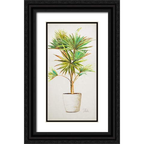 Essential Compliment on White V Black Ornate Wood Framed Art Print with Double Matting by Pinto, Patricia