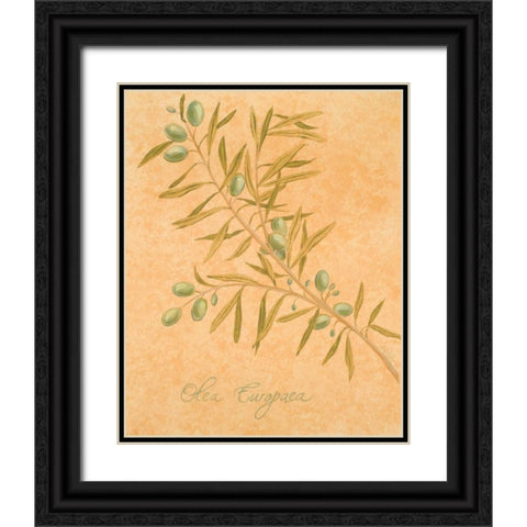 Olea Europaea Black Ornate Wood Framed Art Print with Double Matting by Baliko, Linda