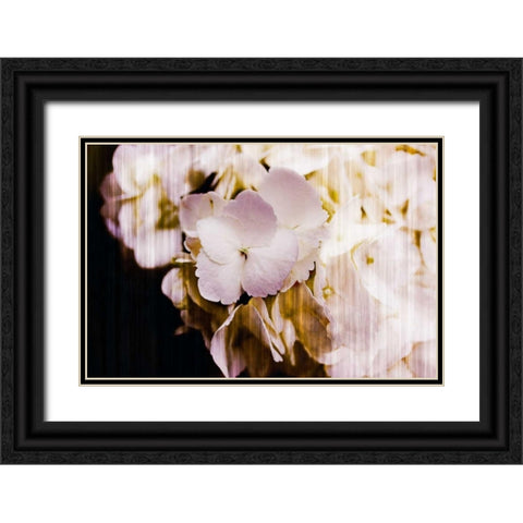 Straw Hats Black Ornate Wood Framed Art Print with Double Matting by Slivka, Jane