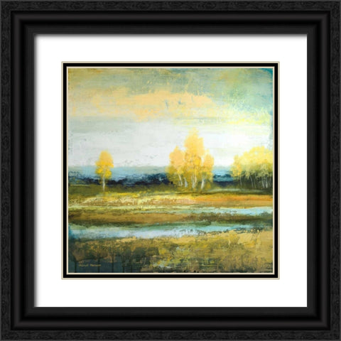 Marsh Lands I Black Ornate Wood Framed Art Print with Double Matting by Marcon, Michael