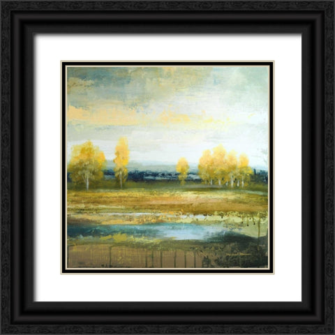 Marsh Lands II Black Ornate Wood Framed Art Print with Double Matting by Marcon, Michael