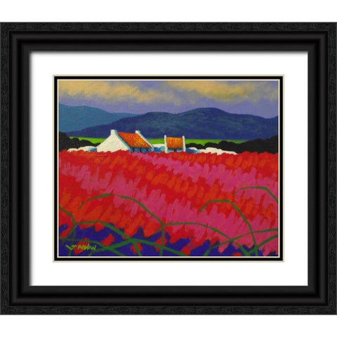 Red Meadow Black Ornate Wood Framed Art Print with Double Matting by Nolan, John