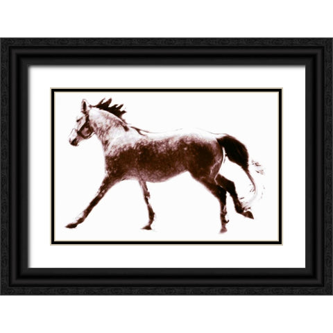 Horse 6 Black Ornate Wood Framed Art Print with Double Matting by Hoffman, Kate