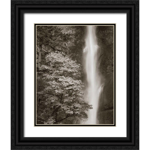 Multnomah Falls Black Ornate Wood Framed Art Print with Double Matting by Audit, Lisa