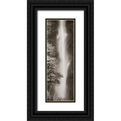 Multnomah Falls Panel Black Ornate Wood Framed Art Print with Double Matting by Audit, Lisa