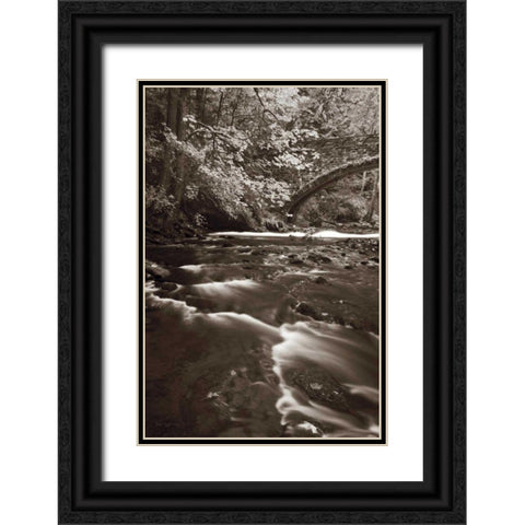 Whatcom Creek Black Ornate Wood Framed Art Print with Double Matting by Audit, Lisa