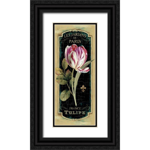 Garden View IV Black Black Ornate Wood Framed Art Print with Double Matting by Audit, Lisa