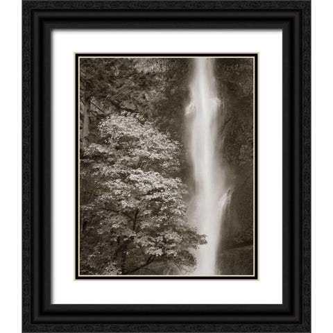 Multnomah Falls Black Ornate Wood Framed Art Print with Double Matting by Audit, Lisa