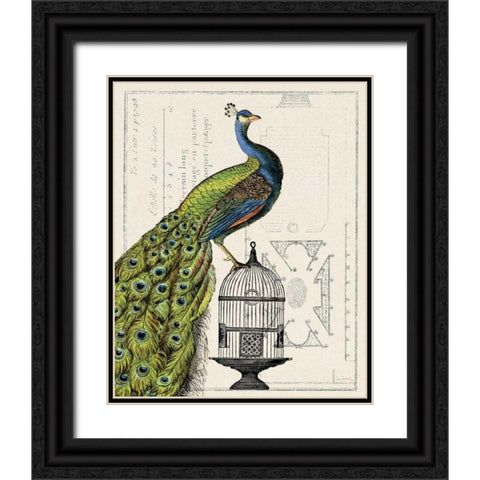 Peacock Birdcage I Black Ornate Wood Framed Art Print with Double Matting by Schlabach, Sue