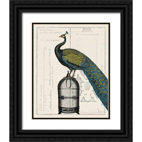 Peacock Birdcage II Black Ornate Wood Framed Art Print with Double Matting by Schlabach, Sue