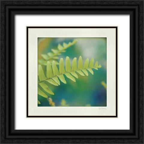 Natures Fern I Black Ornate Wood Framed Art Print with Double Matting by Schlabach, Sue