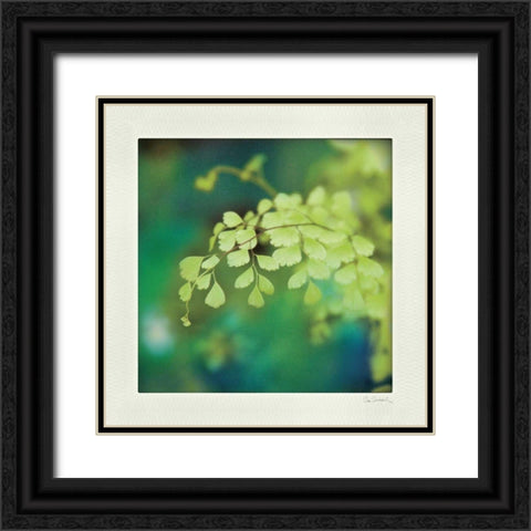 Natures Fern II Black Ornate Wood Framed Art Print with Double Matting by Schlabach, Sue