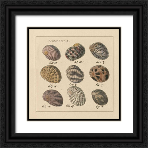 Nertia Black Ornate Wood Framed Art Print with Double Matting by Wild Apple Portfolio