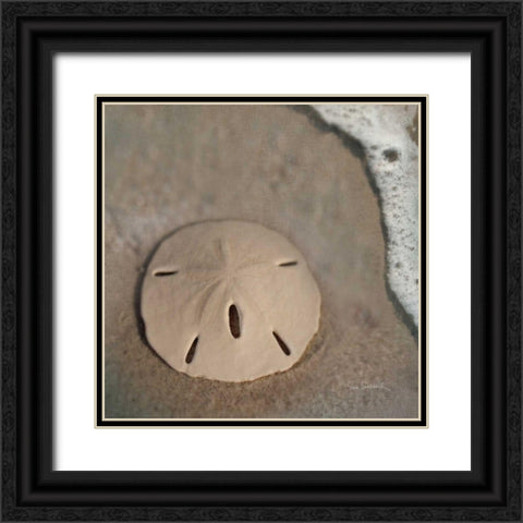 Sand Surf Sand Dollar Black Ornate Wood Framed Art Print with Double Matting by Schlabach, Sue