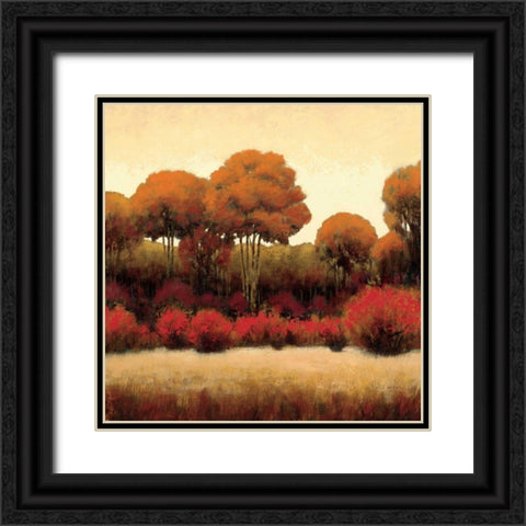 Autumn Forest II Black Ornate Wood Framed Art Print with Double Matting by Wiens, James