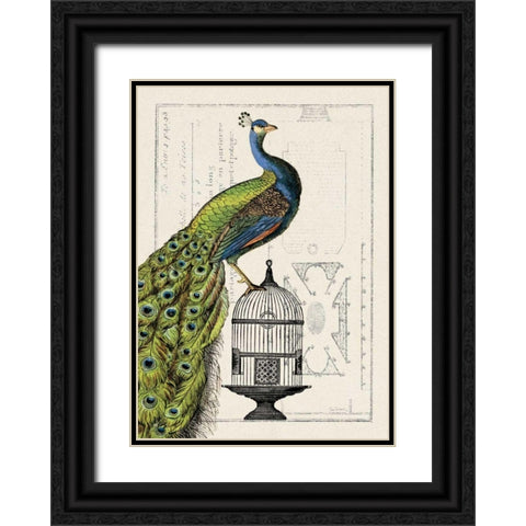 Peacock Birdcage I Black Ornate Wood Framed Art Print with Double Matting by Wild Apple Portfolio