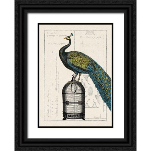 Peacock Birdcage II Black Ornate Wood Framed Art Print with Double Matting by Wild Apple Portfolio