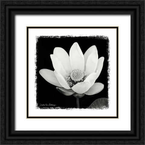 Lotus Flower I Black Ornate Wood Framed Art Print with Double Matting by Van Swearingen, Debra