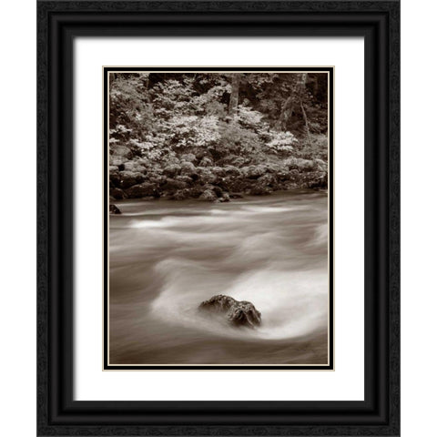 Nooksack River North Cascades Black Ornate Wood Framed Art Print with Double Matting by Audit, Lisa