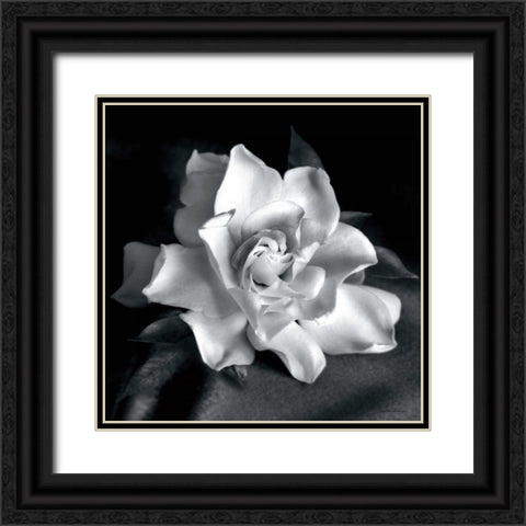 Gardenia Black Ornate Wood Framed Art Print with Double Matting by Van Swearingen, Debra