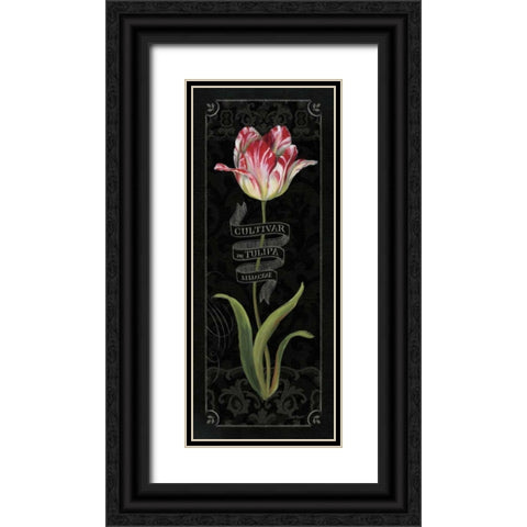 Tulipa Botanica III Black Ornate Wood Framed Art Print with Double Matting by Audit, Lisa