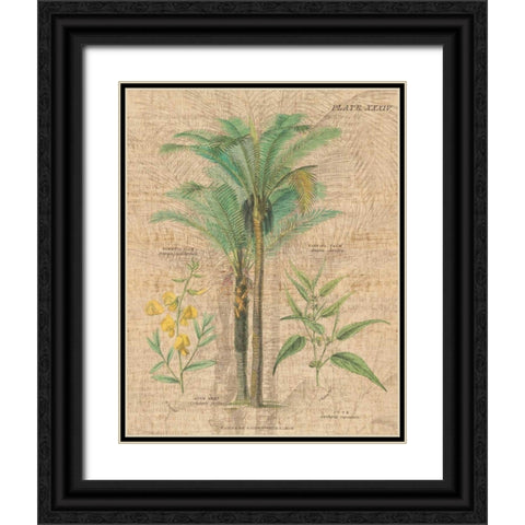 Palm Study II Black Ornate Wood Framed Art Print with Double Matting by Wild Apple Portfolio