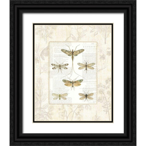 Dragonfly Botanical Black Ornate Wood Framed Art Print with Double Matting by Schlabach, Sue