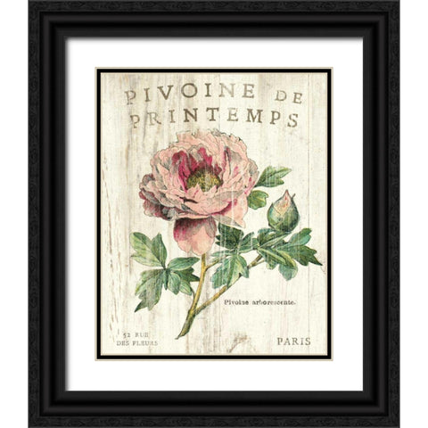 Pivoine de Printemps Black Ornate Wood Framed Art Print with Double Matting by Schlabach, Sue