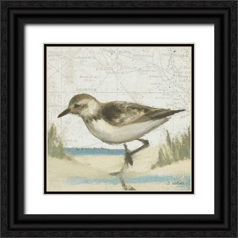 Beach Bird IV Black Ornate Wood Framed Art Print with Double Matting by Wiens, James