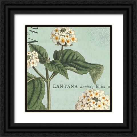 Botanique Bleu I Black Ornate Wood Framed Art Print with Double Matting by Wild Apple Portfolio