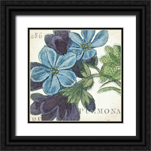 Blue Floral Black Ornate Wood Framed Art Print with Double Matting by Wild Apple Portfolio