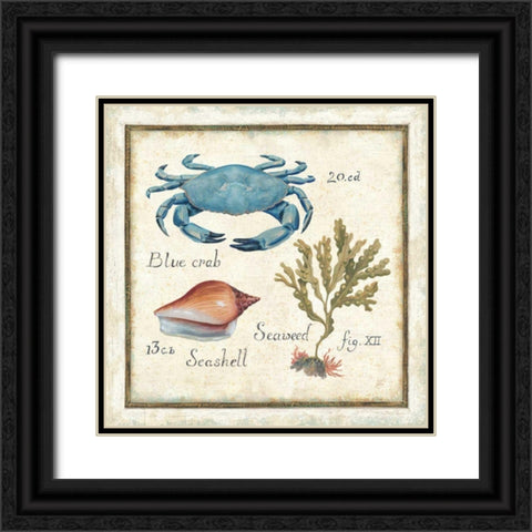 Oceanography IV Black Ornate Wood Framed Art Print with Double Matting by Brissonnet, Daphne