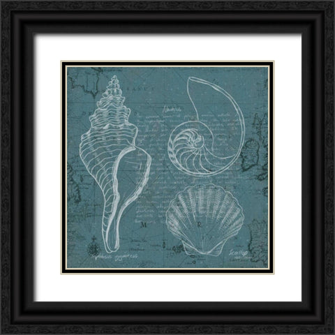 Coastal Blueprint I Black Ornate Wood Framed Art Print with Double Matting by Fabiano, Marco