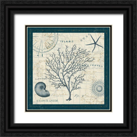 Ocean Life IV Black Ornate Wood Framed Art Print with Double Matting by ERR, Pela