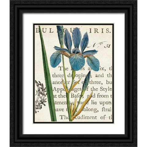 Iris Letter Black Ornate Wood Framed Art Print with Double Matting by Schlabach, Sue