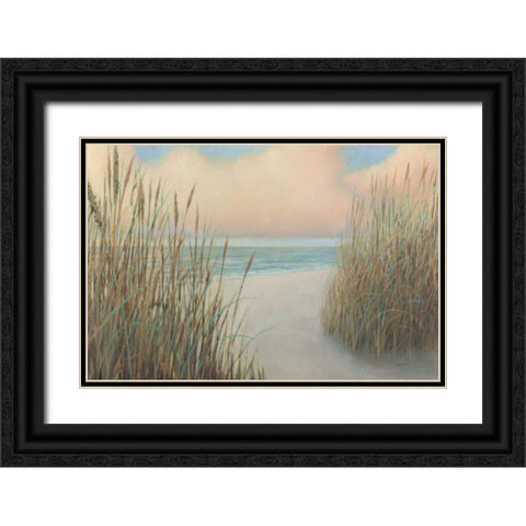 Beach Trail I Black Ornate Wood Framed Art Print with Double Matting by Wiens, James